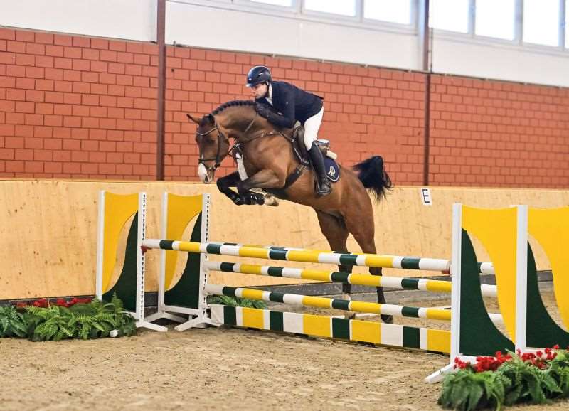 Diathargos Blue PS Stallion